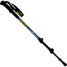 Палки треккинговые TALBERG EXPEDITION POLE, синий 4603726887069